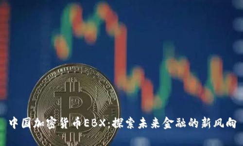 中国加密货币EBX：探索未来金融的新风向