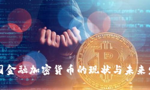 中国金融加密货币的现状与未来发展
