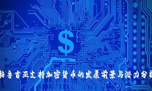 格鲁吉亚支持加密货币的发展前景与潜力分析