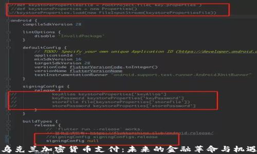 
乌克兰加密货币支付：未来的金融革命与机遇