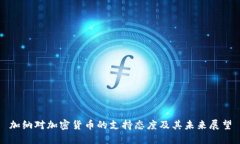 加纳对加密货币的支持态度及其未来展望