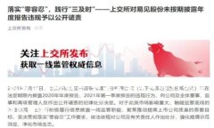 请注意，由于篇幅限制，以下提供较为简要的回
