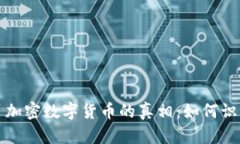 揭开假冒加密数字货币的真相：如何识别与防范