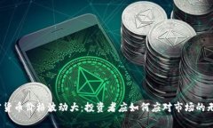 加密货币价格波动大：投资者应如何应对市场的