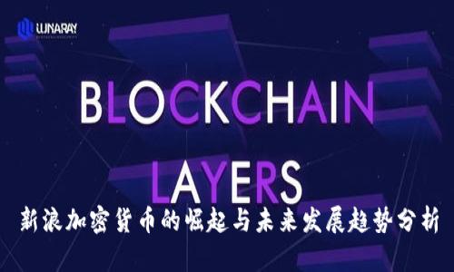 新浪加密货币的崛起与未来发展趋势分析