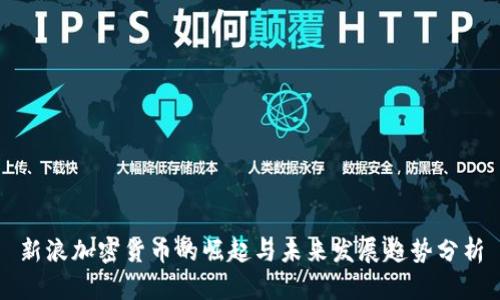 新浪加密货币的崛起与未来发展趋势分析