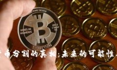 加密货币分割的真相：未来的可能性与影响