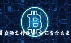 加密货币背后的支持体系：它们靠什么来获得价