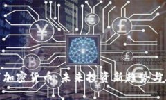 WIS数字加密货币：未来投资新趋势与风险分析