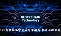 2023年数据加密货币市值解析：机遇与挑战并存