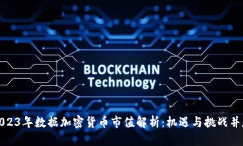 2023年数据加密货币市值解析：机遇与挑战并存
