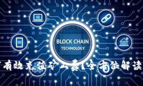 TP钱包如何有效充值矿工费？全方位解读与实用技巧