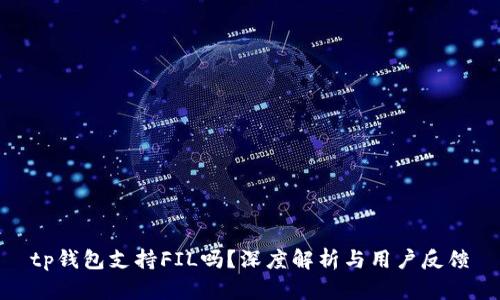tp钱包支持FIL吗？深度解析与用户反馈