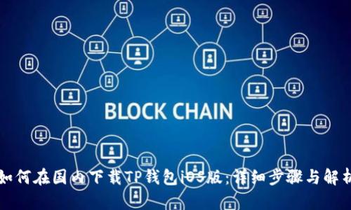 如何在国内下载TP钱包iOS版：详细步骤与解析