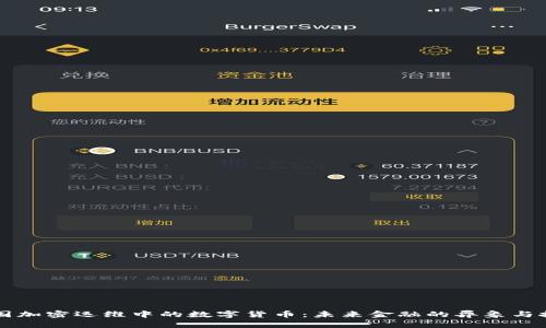 美国加密运维中的数字货币：未来金融的异象与挑战
