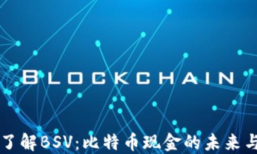 
深入了解BSV：比特币现金的未来与潜力