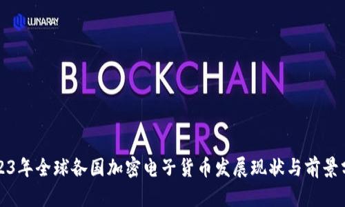 2023年全球各国加密电子货币发展现状与前景分析