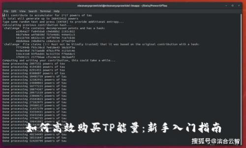 如何高效购买TP能量：新手入门指南