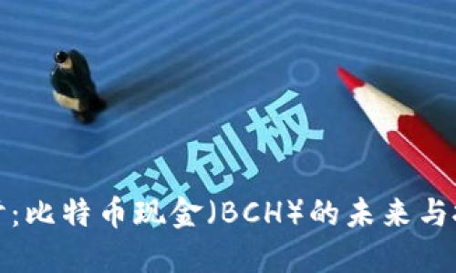 深入探讨：比特币现金（BCH）的未来与投资机会