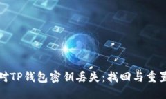 如何应对TP钱包密钥丢失：找回与重置全攻略