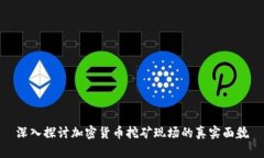 深入探讨加密货币挖矿现场的真实面貌