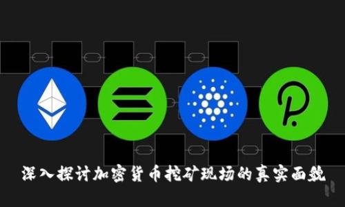 深入探讨加密货币挖矿现场的真实面貌