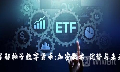 全面了解柚子数字货币：加密技术、优势与未来前景