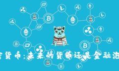 加密货币：未来的货币还是金融泡沫？