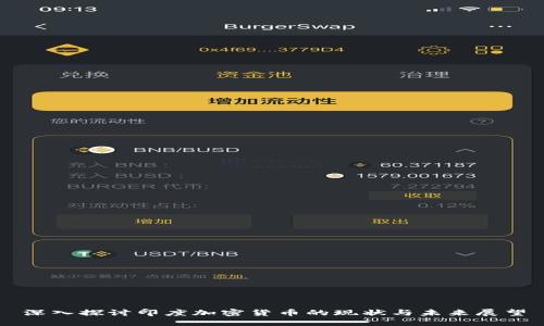 深入探讨印度加密货币的现状与未来展望