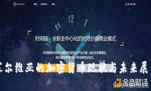 塞尔维亚的加密货币现状与未来展望