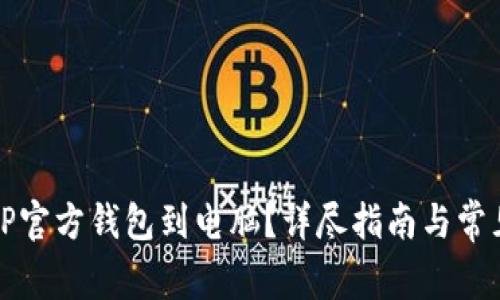 如何下载TP官方钱包到电脑？详尽指南与常见问题解答