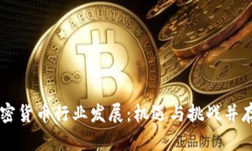 印尼加密货币行业发展：机遇与挑战并存的未来