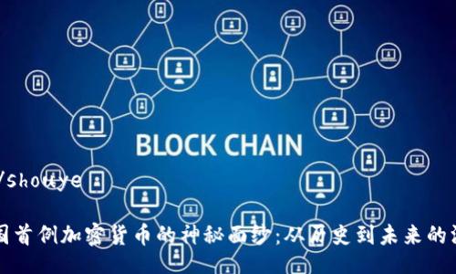 shouye/shouye

揭开美国首例加密货币的神秘面纱：从历史到未来的深度解析