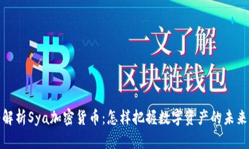 深入解析Sya加密货币：怎样把握数字资产的未来机遇