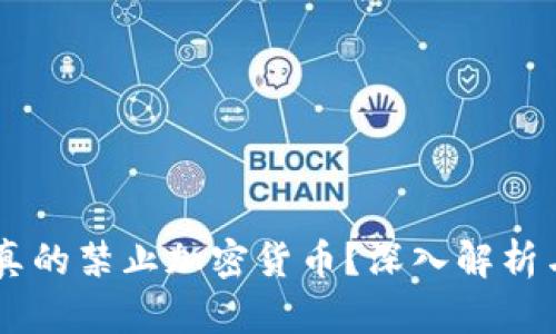 印度是否真的禁止加密货币？深入解析与未来展望