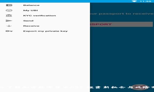 深入了解加密数字货币ASS：投资新机会与风险分析