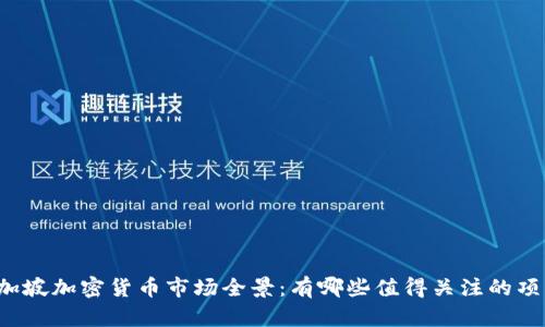 新加坡加密货币市场全景：有哪些值得关注的项目？