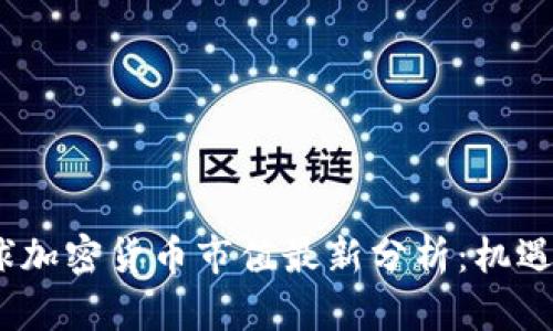 2023年全球加密货币市值最新分析：机遇与挑战并存