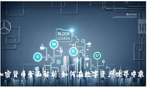 :PGN加密货币全面解析：如何在数字资产世界中乘风破浪