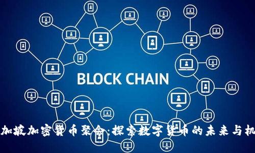 新加坡加密货币聚会：探索数字货币的未来与机遇