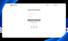 Visa与加密货币的未来：支付行业的革新与挑战