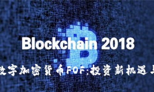 全面解析数字加密货币FOF：投资新机遇与风险挑战