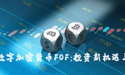 全面解析数字加密货币FOF：投资新机遇与风险挑战