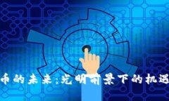 加密货币的未来：光明前景下的机遇与挑战