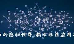 加密货币的隐秘世界：揭示非法应用及其影响