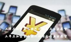 土耳其加密货币团队的崛起与未来展望土耳其加