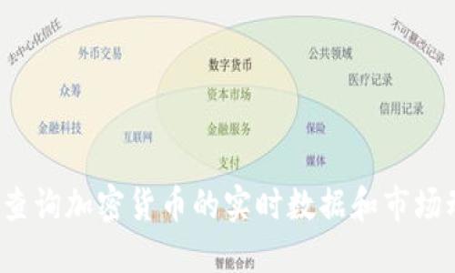如何查询加密货币的实时数据和市场动态？