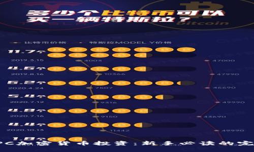 探秘DPC加密货币投资：新手必读的完整指南