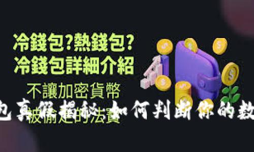 TokenPocket钱包真假揭秘：如何判断你的数字资产是否安全