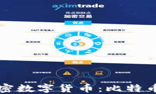 
全球最大的加密数字货币：比特币的地位与未来